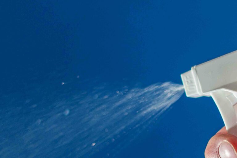 Pet Odor Removal Services