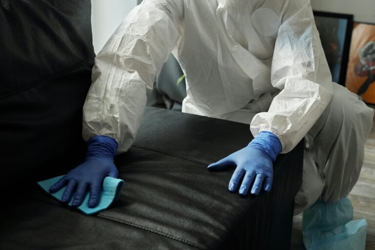 Sofa Cleaning Services