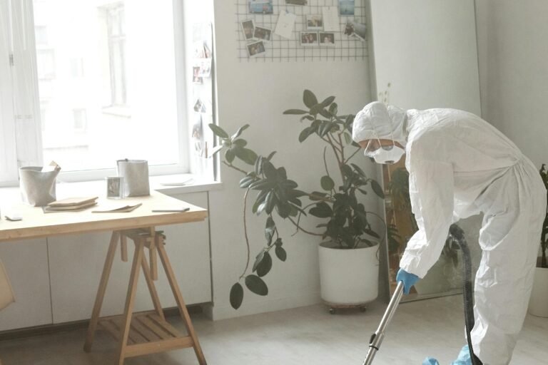 Carpet Cleaning Services