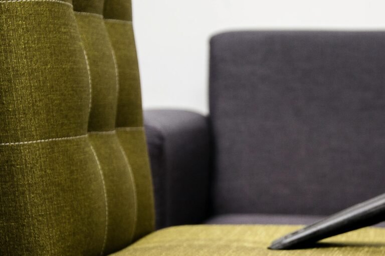 Upholstery Cleaning Services